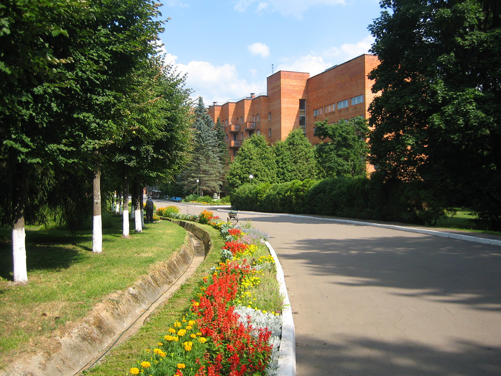 Звенигородский